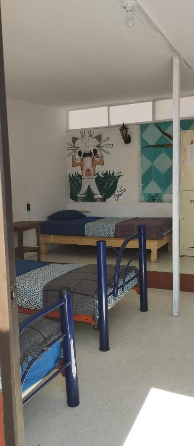Oaxaca Hostal San Pueblo מראה חיצוני תמונה